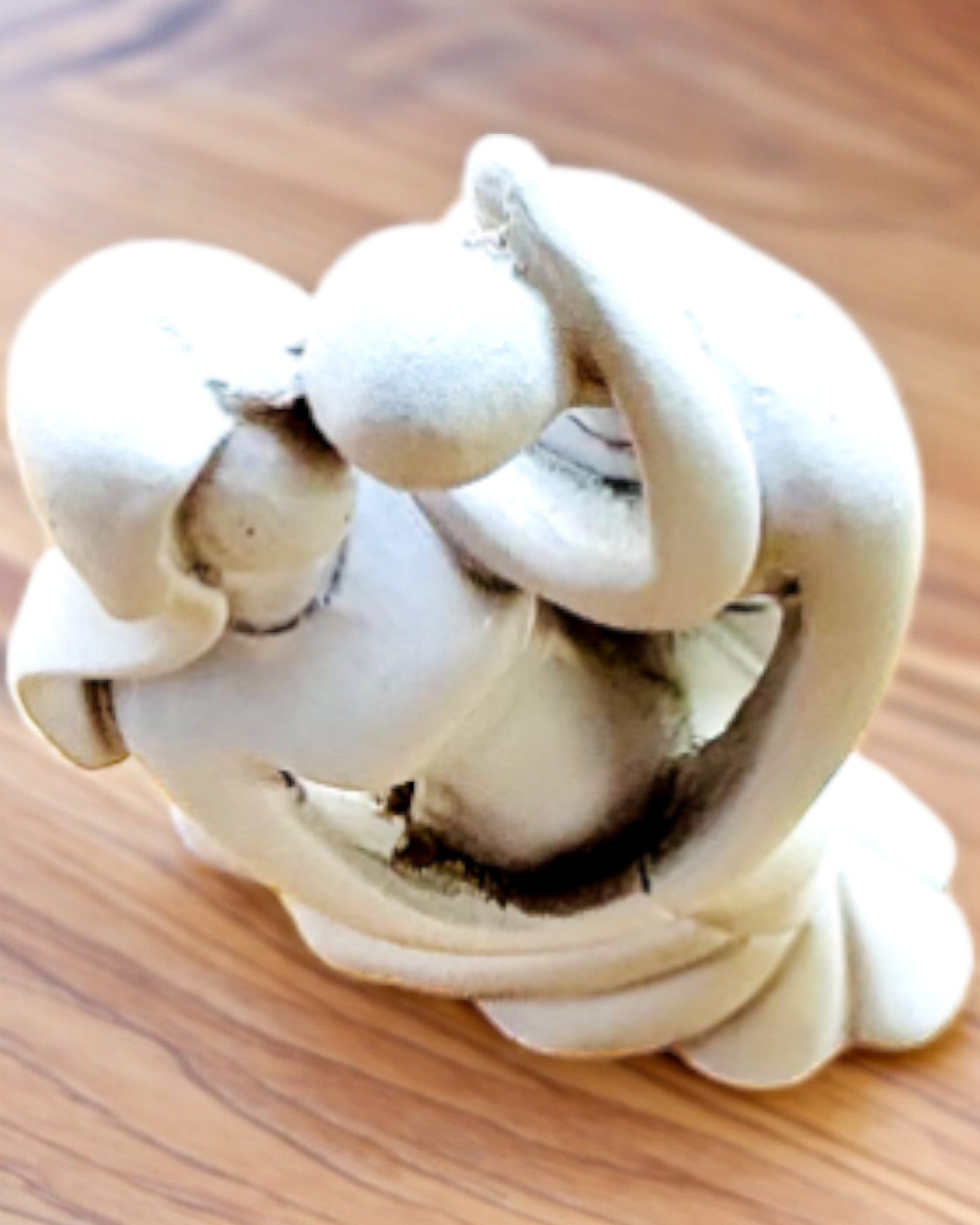 Elegantný Zväzok - Malá Dekoratívna Figúrka s Možnosťou Gravírovania - farba biela