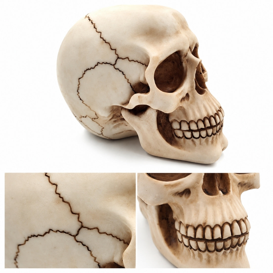 Czaszka Dekoracyjna Figurka 15 cm z Polyresinu z Możliwością Personalizacji Grawerem